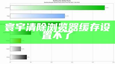寰宇清除浏览器缓存设置不了